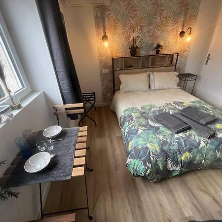 Verdi Studio Cosy Au Calme Parking Gratuit Chasse-sur-Rhone Exterior photo